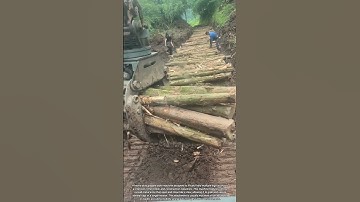 Powerful Grapple Machine for Lifting and Transporting Multiple Heavy Logs Efficiently