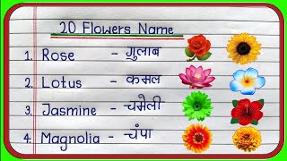 20 flowers name hindi and english/फूलों के नाम हिंदी और इंग्लिश में/phoolon ke naam/flowers name