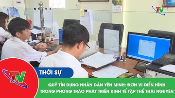 Quỹ tín dụng nhân dân Yên Minh: đơn vị điển hình trong phong trào phát triển kinh tế tập thể TN