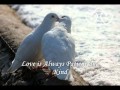 هاني متواسي انا جاي على بالي