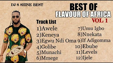 BEST OF FLAVOUR IJELE OF AFRICA VOL1 BY DJ S SHINE BEST