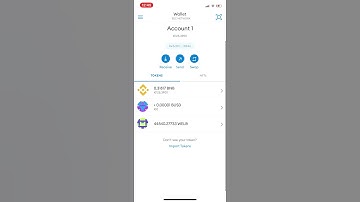 How to create a WELBA wallet on metamask