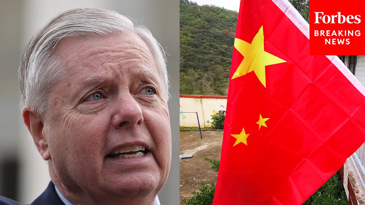 Lindsey Graham Says We Should Send A 