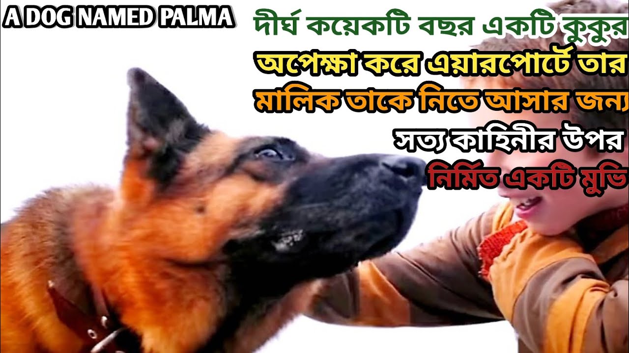 2021 A DOG NAMED PALMA 2021-a-dog-named-palma