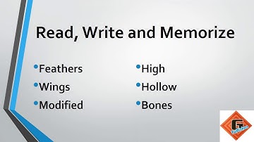 Gohar Science Book 3, Chapter 3, Lecture 1