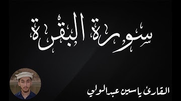 شهر رمضان الذي أنزل فيه القران | تلاوة هادئة | ياسين عبدالولي