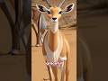 Good night, graceful Gazelle#story #shorts #kids#sleep #animals