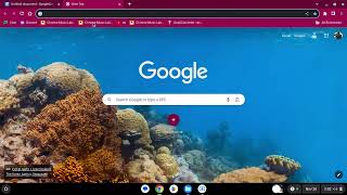 how to unblock websites on school chromebook 2023-2024