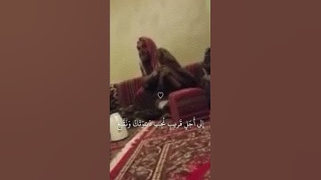 تلاوة نجدية قديمة