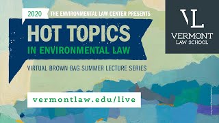 The Green Amendment: A Bold New Strategy for Environmental Protection