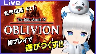 【オブリビオン】同士のピナールと過ごす夜 #17