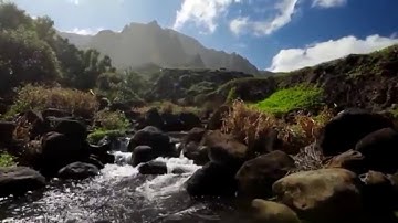 تلاوة مباركة من أرض العراق