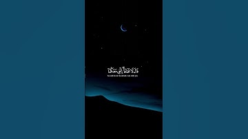 قالا ربنا إننا نخاف أن يفرط علينا أو أن يطغى | القارئ شريي مصطفى سورة طه #القرآن_الكريم #الله #لايك