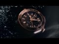 OMEGA Seamaster PLANET OCEAN 600M Master Chronometer DEEP BLACK [video]