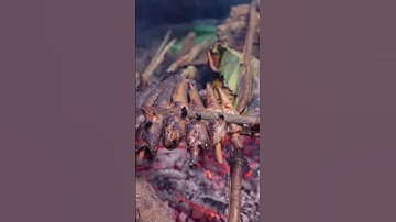 2 Xiên Nướng Cá Suối | Nhịp Sống Người Mường #xuhuongyoutube #vlog