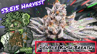 Seed to Harvest - In House Genetics
