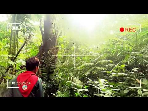 Video: Hutan Sebagai Habitat