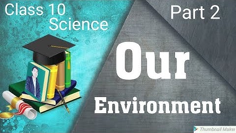 Our Environment (Part 2)Biology CBSE class 10  Science chapter 15 ,Food chain and web