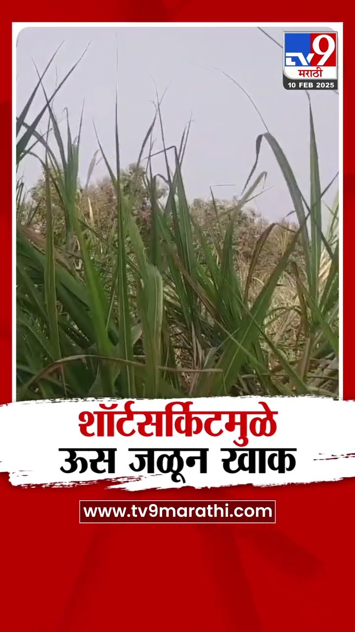 Nanded मध्ये शॉर्टसर्किटमुळे उस जळून खाक, शेतकरी हवालदिल : tv9 Marathi
