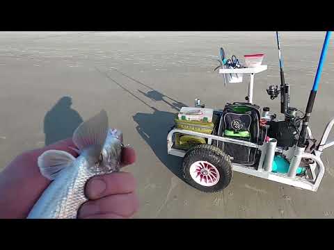 Surf Fishing Hilton