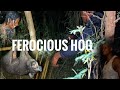 FEROCIOUS WILD HOG catch using my home made trap Night hunting Epic adventure