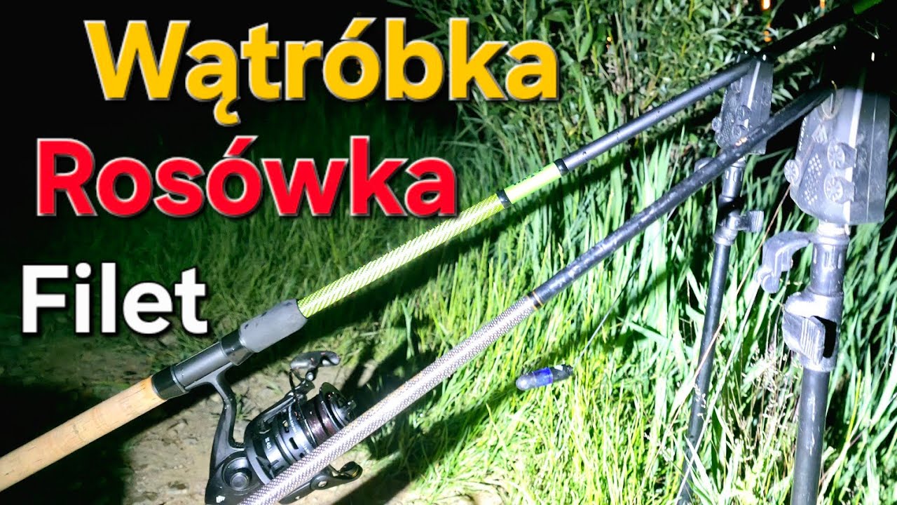 Dwie Nocki Pełne Emocji !! Urwane plecionki! Ryby z zestawami! Klasyczny Rzeczny Feeder i Methoda!