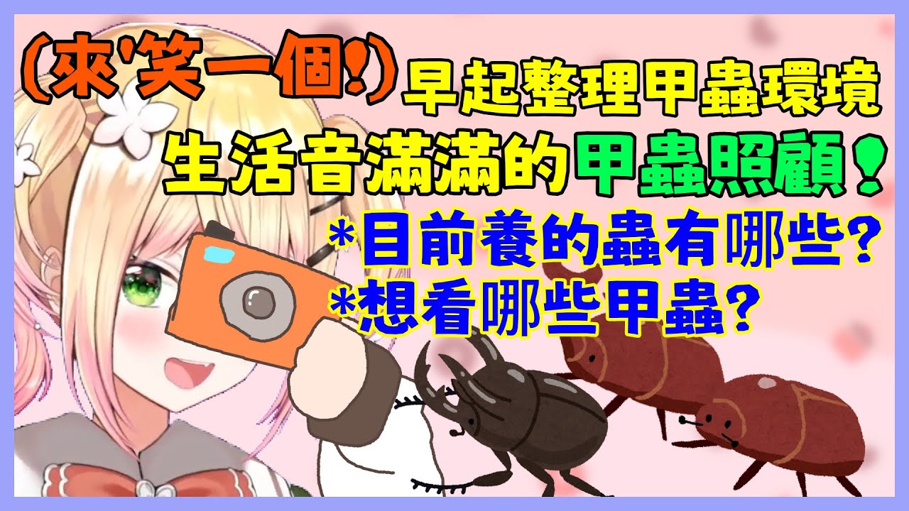 【×內有蟲蟲照注意×】愛蟲成痴!? 瘋狂幫甲蟲拍美照,且對於甲蟲的知識多到可怕的Nene！！！【桃鈴ねね】【Vtuber遜炮中翻】