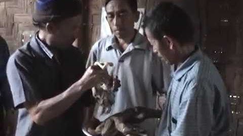 Saib taw qaib hu plig nyob zos Avliab