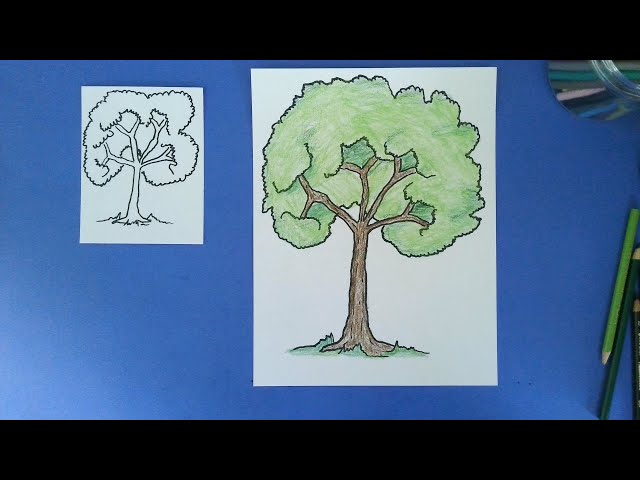 Line Drawing Learning Tree How To Draw A Tree Line