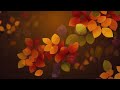 Dreamy Autumn Falling Leaves Loop 4K - Vibrant Colorful Foliage Golden Bokeh | Free No Copyright