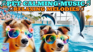 RELAX & DE-STRESS YOUR PETS!🐕🤗Your Playful Puppies🐶🥰Will Stay Happy on🐬”Dolphin Day”🐬🇺🇸🌎