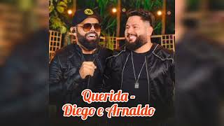 QUERIDA - DIEGO E ARNALDO (SERTANEJO 2023)