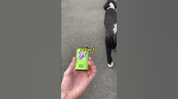 Thumbnail of How to DEAL With Vapes! #shorts
