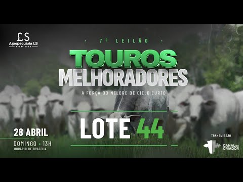 LOTE 44