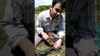 Tırpan Bileme Dişleme Nasıl Yapılır