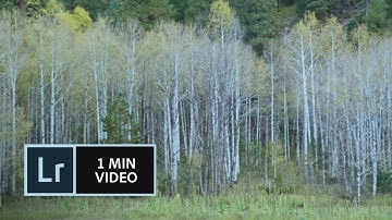 How to use Before and After views in Lightroom