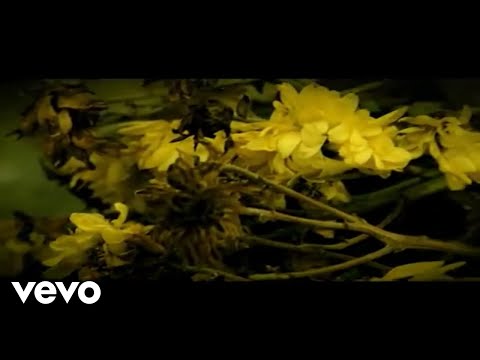일리닛 - 향수