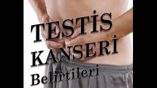 Testis Kanseri Belirtileri,