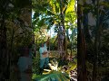 Depois do plantão, o trabalho continua no pomar de casa! 💪🏻🏡