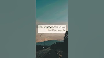 #quran #القرآن_الكريم #ماهر_المعيقلي #سورة_الأنعام