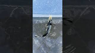 IMG 9799
