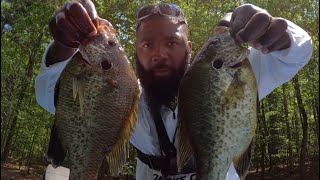 Simple Way To Catch Big Red Ear Sunfish Monster Shell Crackers) I Can’t Believe How Big They Are