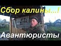 Сбор калины/О конфузе с собакой/Вездеход/Слива созрела/Уборка дров/Об Авантюристах и жизни в деревне