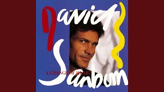 Video thumbnail of "David Sanborn - A Change of Heart"