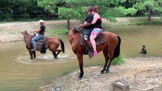 Kuda Mengirim Penunggangnya ke Arus || ViralHog
