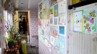 «Пчелиная» выставка украшает кафе "Обжорка".