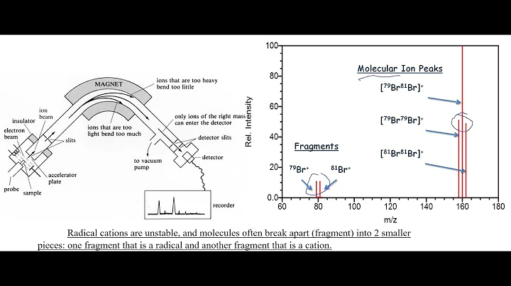 How to Analyze Mass Spectra