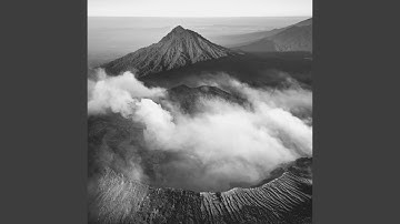 Pulsating Moods for Magical Fall