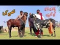Top class nagra breader buck makhan  big goat  beetal goat of malik kaali