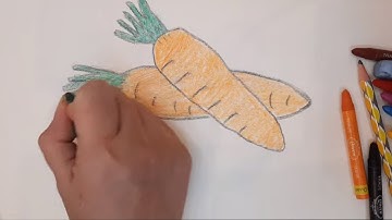 Hướng dẫn Vẽ và Tô Màu củ Cà Rốt